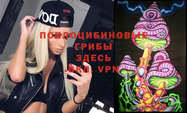 хмурый Инта