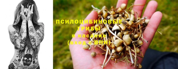 марки nbome Инсар