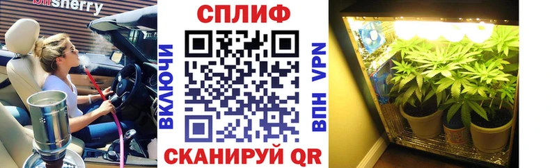 Купить где  Кедровый  Канабис Ganja 